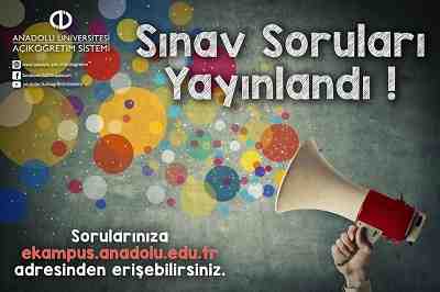 sınav soruları