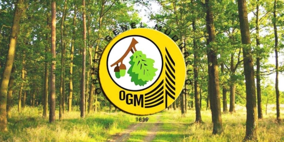 Orman Genel Müdürlüğü Türkiye Geneli Personel Alıyor