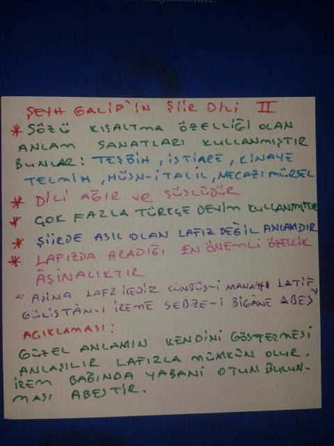 Türk Dili ve Edebiyatı - Şeyh Galip Şiir Dili Ders Notları